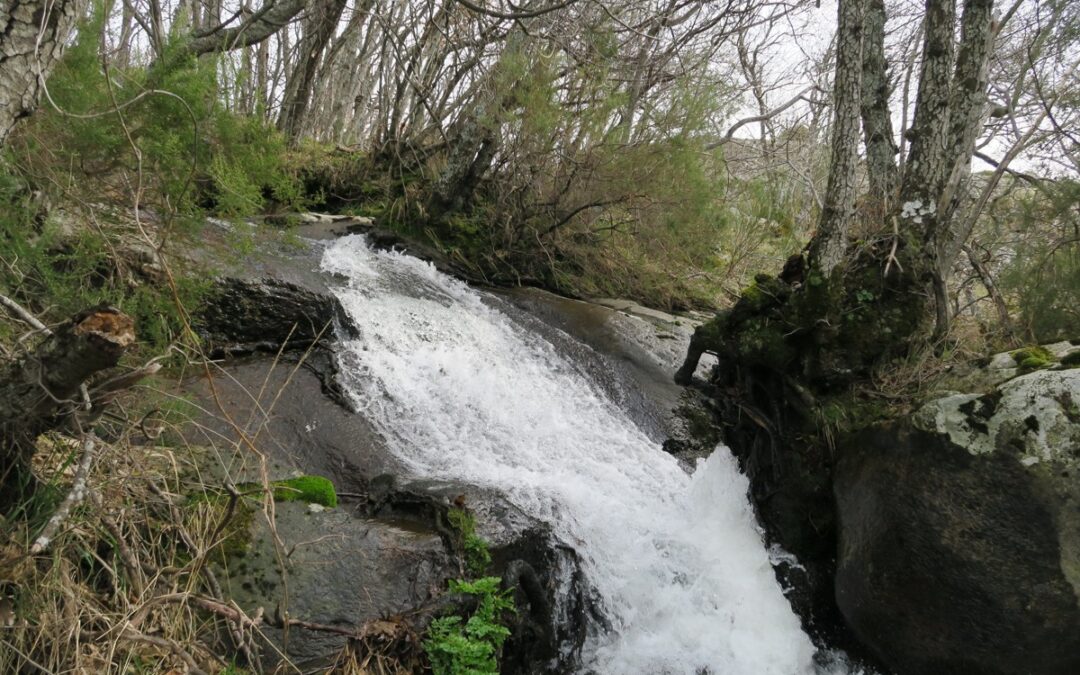 Parque Natural de Sanabria y alrededores.